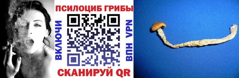 Псилоцибиновые грибы Psilocybine cubensis  ссылка на мегу сайт  Красноармейск 