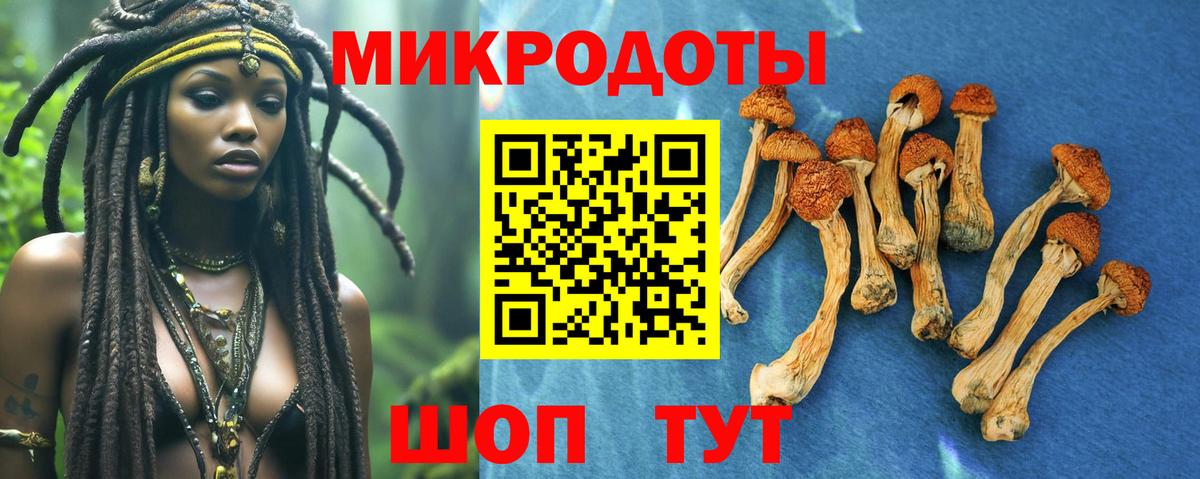 Галлюциногенные грибы прущие грибы  Вход с VPN  Красноармейск 