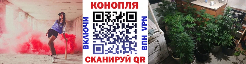 Конопля SATIVA & INDICA  где купить наркоту  Красноармейск 